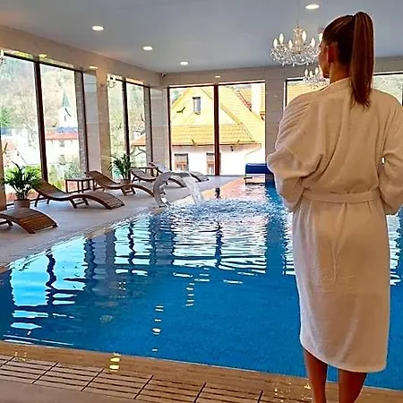 Sivy Kamen Hotel Handlová